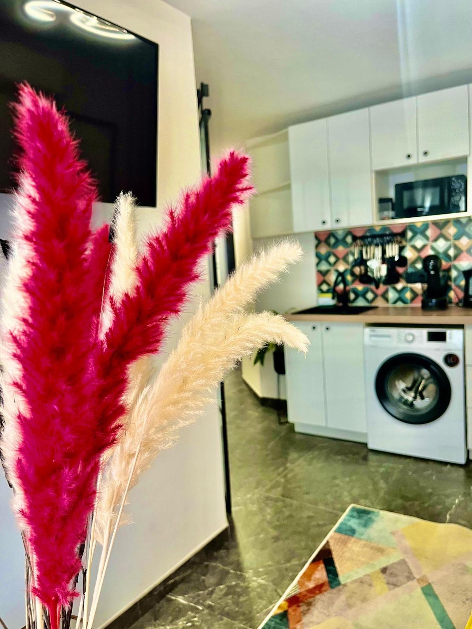 Arte Apartamento Dos Colores Alicante Esterno foto
